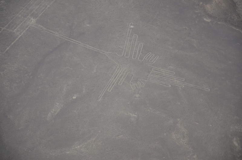 Linhas de Nazca. O pássaro.